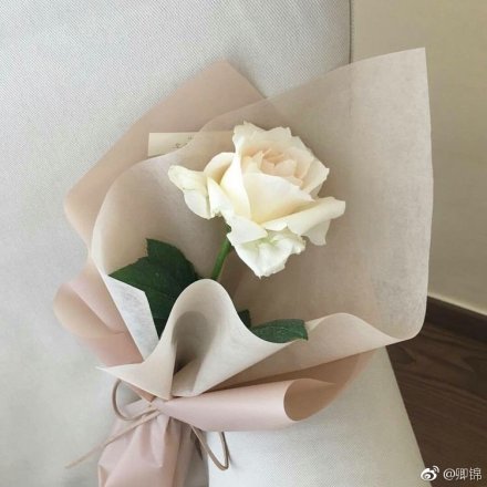 嘉兴人，教师，期待找到我的心上人！